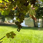Haus Am Kamin Privater Seezugang *