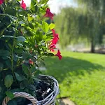 Haus Am Kamin Privater Seezugang Holiday home