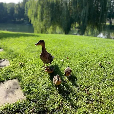 Haus Am Kamin Privater Seezugang 워렌도르프