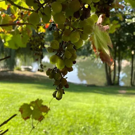 Haus Am Kamin Privater Seezugang *