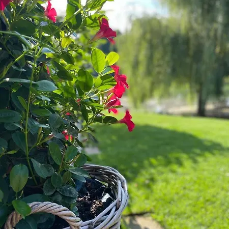 Haus Am Kamin Privater Seezugang 펜션