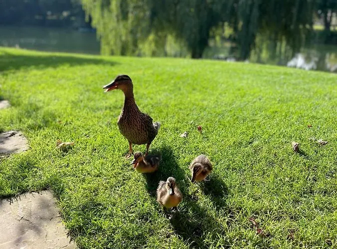 Haus Am Kamin Privater Seezugang וורנדורף