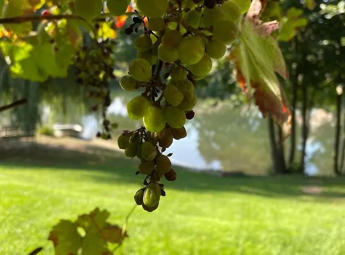 Haus Am Kamin Privater Seezugang *