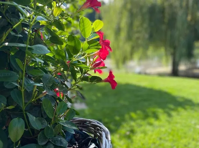 Haus Am Kamin Privater Seezugang 度假居